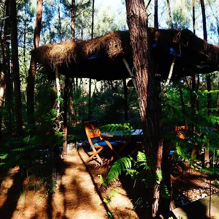 Les Landines Couette-café Origne (Gironde)