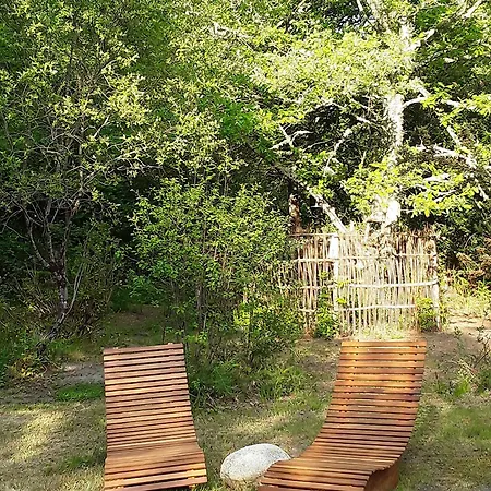 Les Landines * Origne (Gironde)